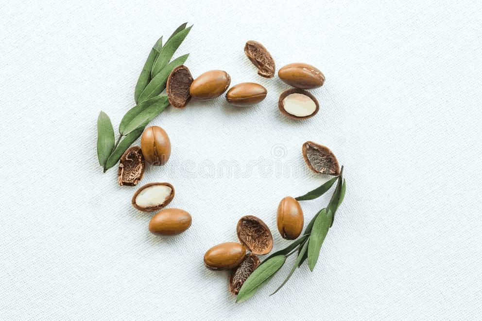 seeds photo